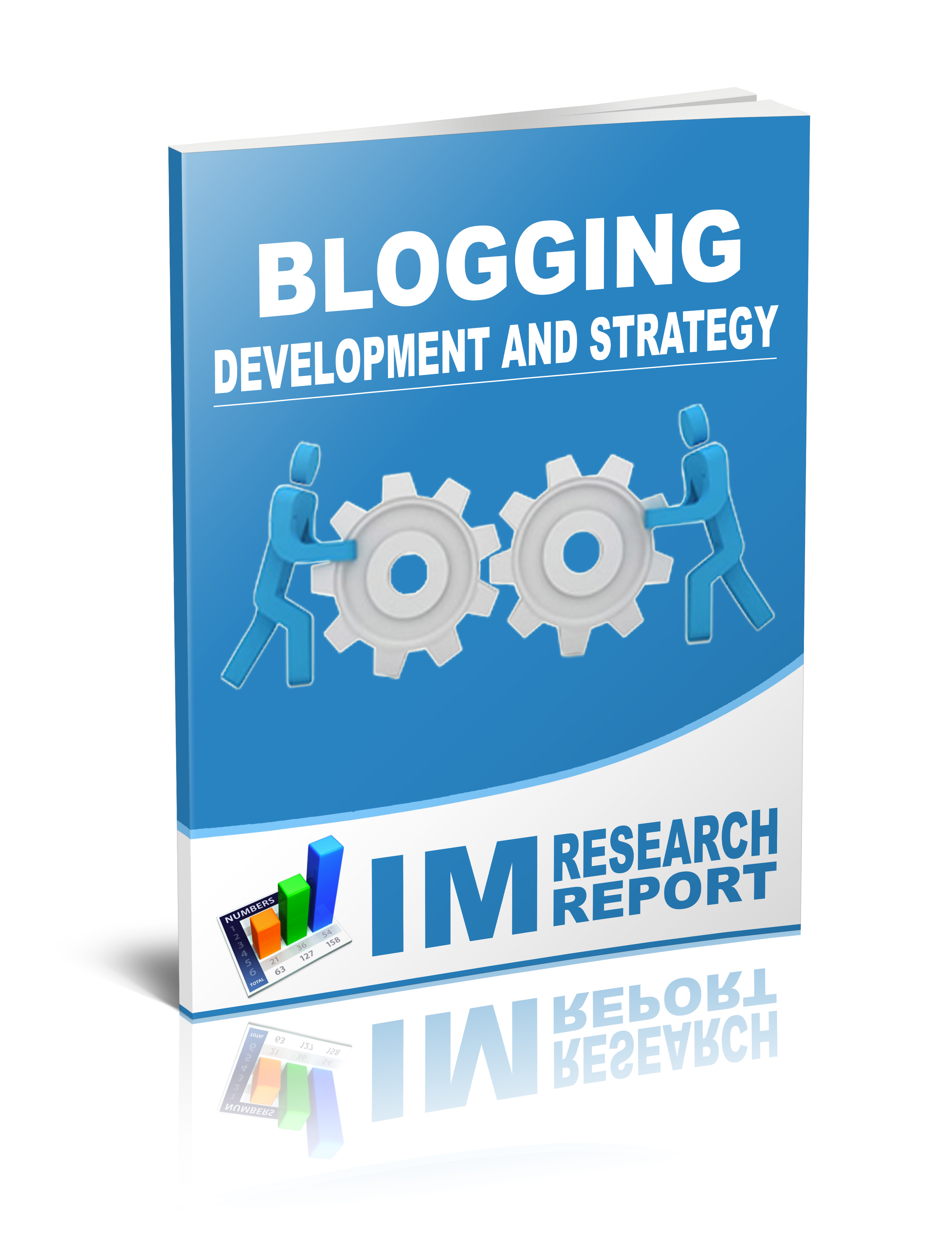 Blogging Report   Development And Strategy